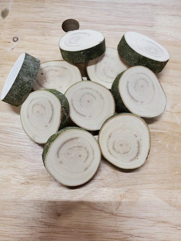 Small wood slices