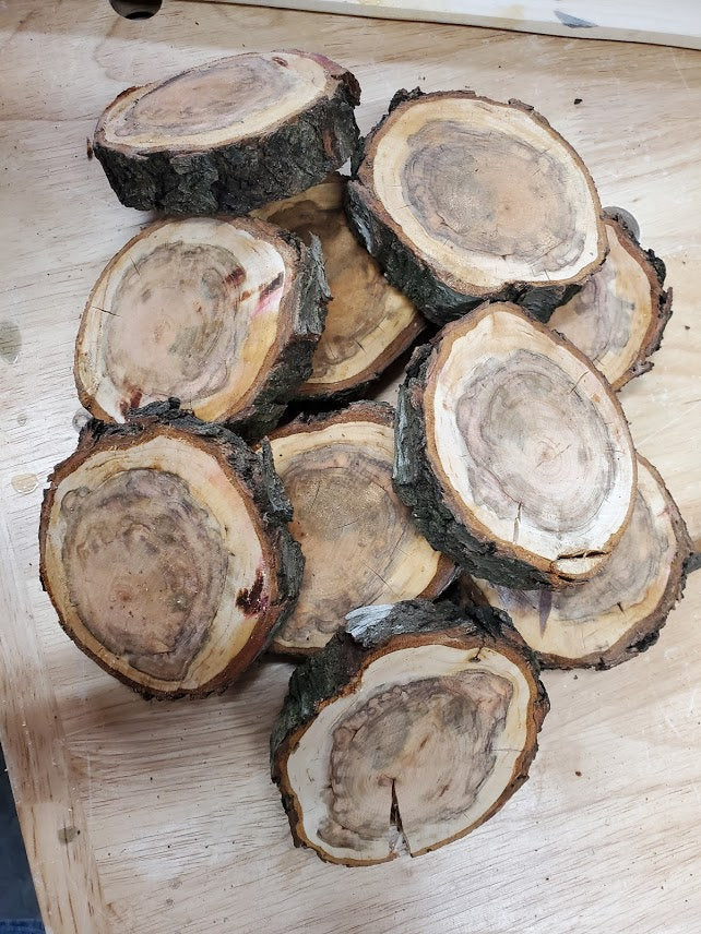 Wood Slices